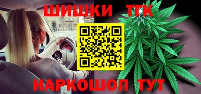 индика Кулебаки