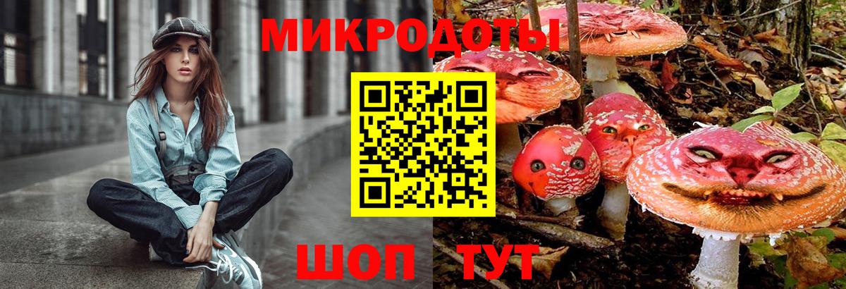 Камышлов  Псилоцибиновые грибы Psilocybe  Вход с VPN 