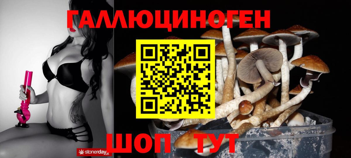 Псилоцибиновые грибы мицелий Камышлов